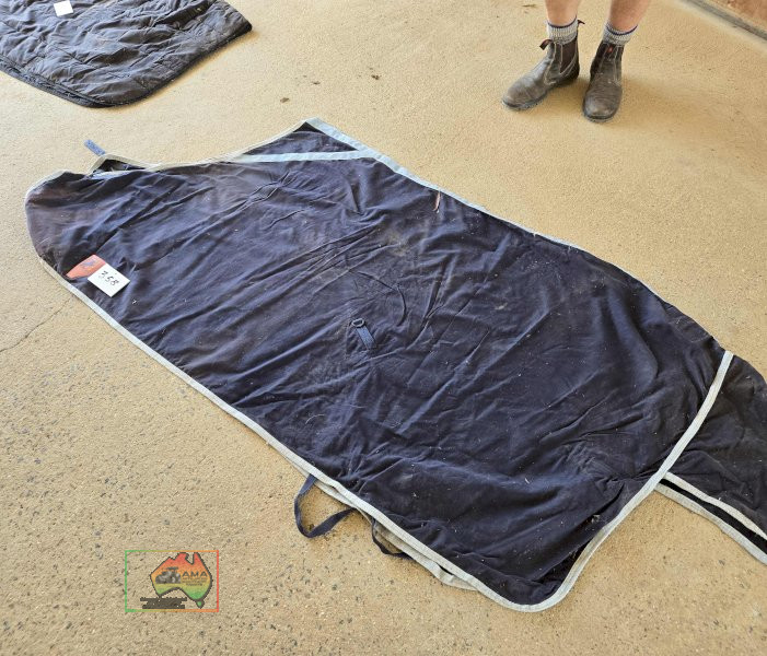 Capriole 6-0 Light Day Rug - photo 2