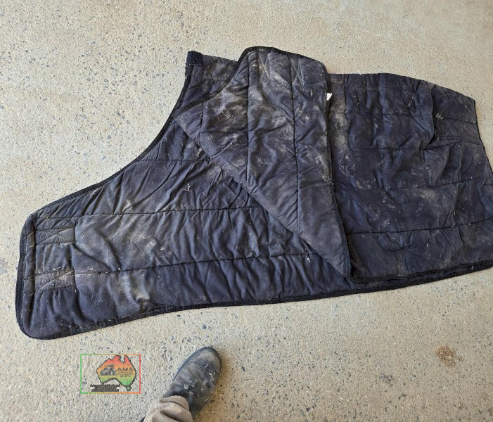 Under Doona-Rug 5-6 - photo 3