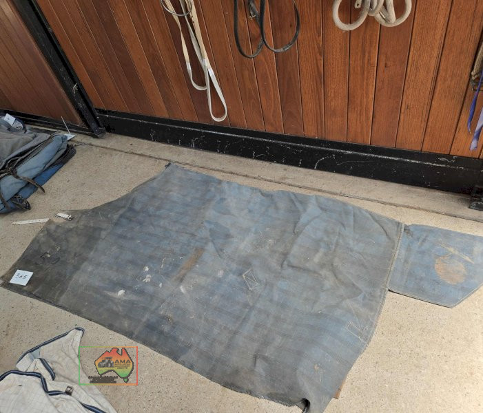 Canvas Rug 5-9 - photo 2