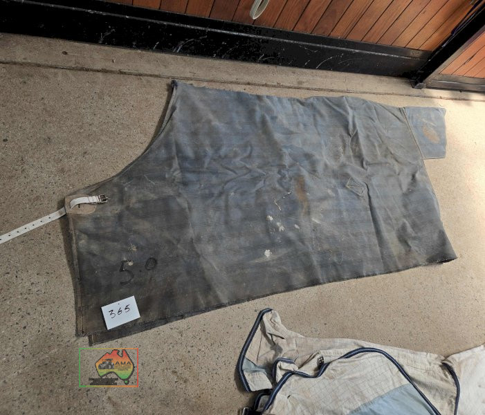 Canvas Rug 5-9