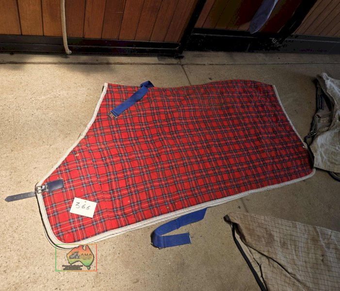 Raceday Rug 5-6