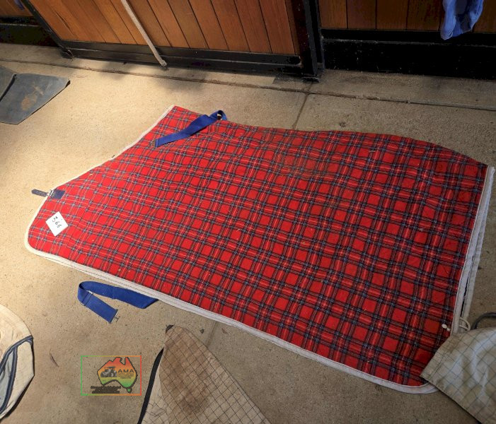 Raceday Rug 5-6 - photo 2