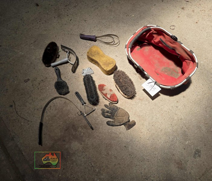 Horse Grooming Equipment - photo 3