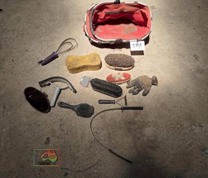 Horse Grooming Equipment