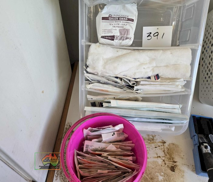 Vet Gauze & Swabs