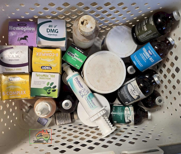 Assorted Horse Treatments - photo 2
