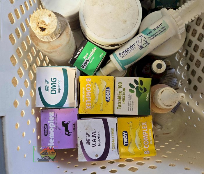 Assorted Horse Treatments - photo 3