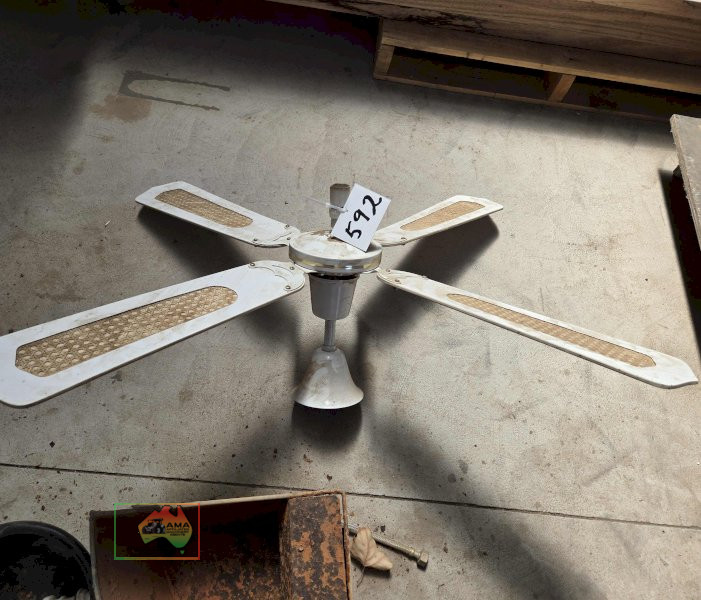 240v Light Fan - photo 2