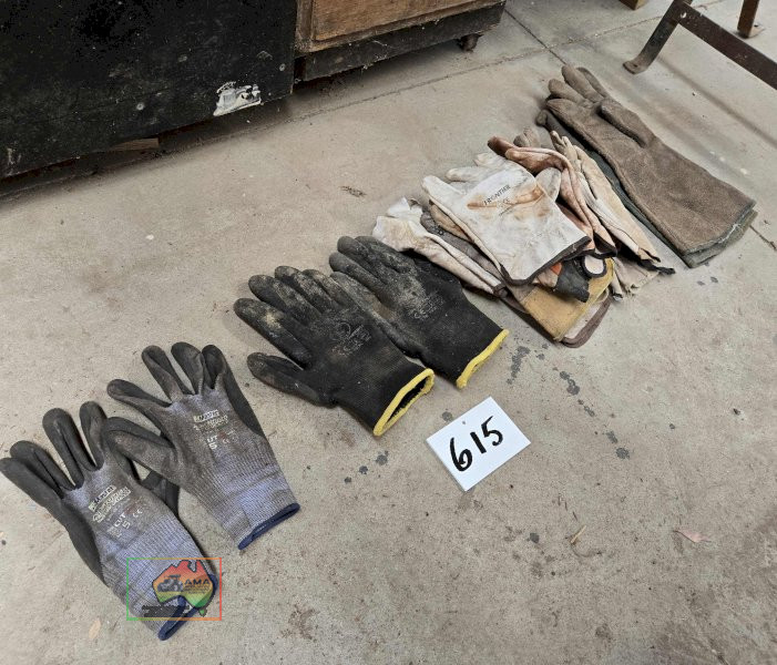 Assorted Safety Gloves