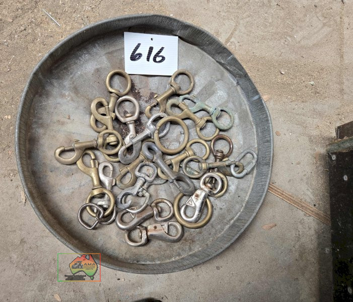 Assorted Horse Clips & Rings