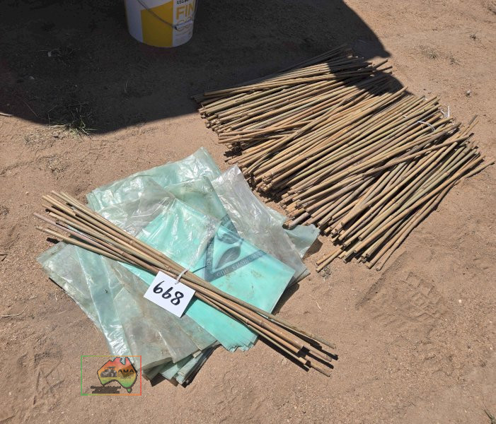 Plastic Tree Guards & Bamboo Stakes