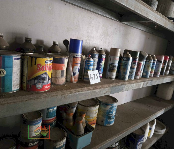 Assorted Paint