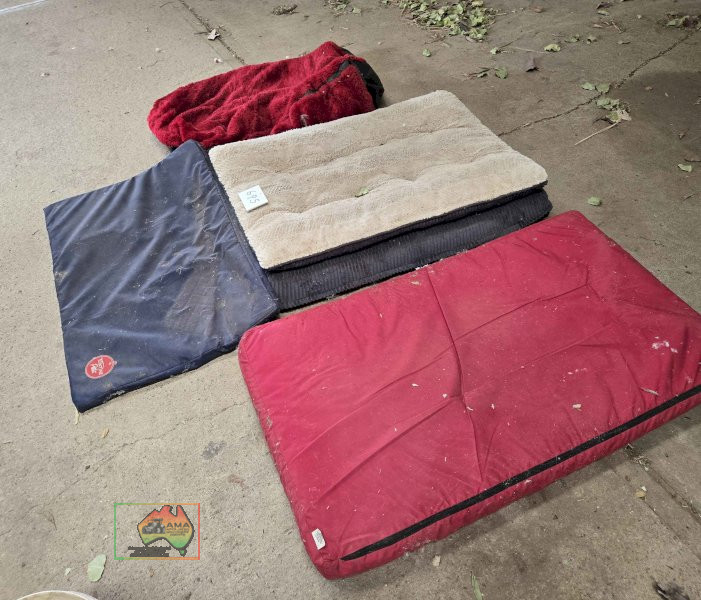 4x Dog Beds - photo 2
