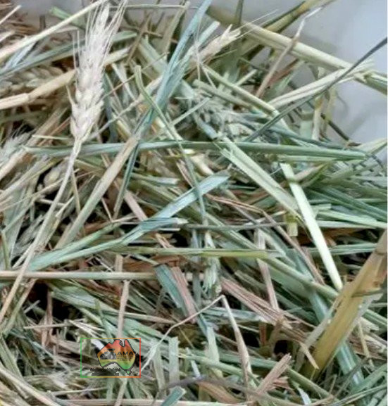 8x4x3 Bales of Quality Wheaten Hay. - photo 4