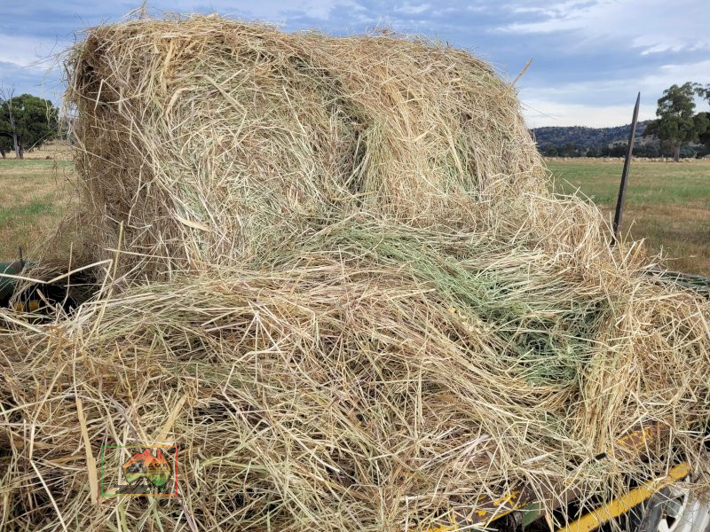 3x Rolls of Rye & Barley Hay - photo 2