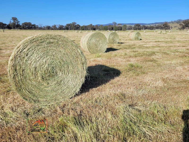3x Rolls of Rye & Barley Hay