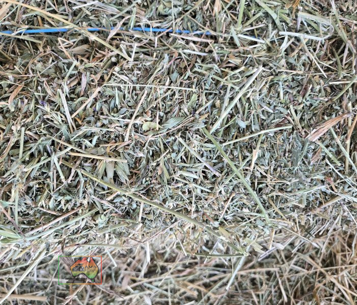 6x Bales of Pure Lucerne Hay - photo 2