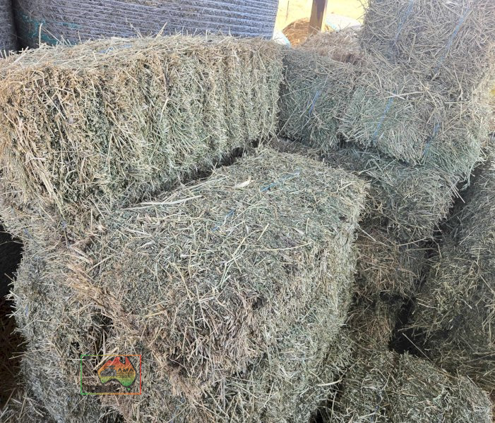 6x Bales of Pure Lucerne Hay - photo 3