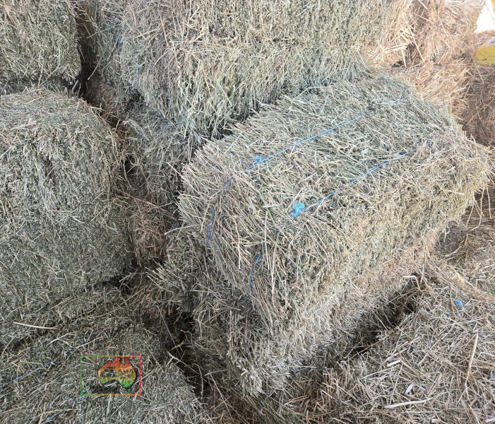 6x Bales of Pure Lucerne Hay