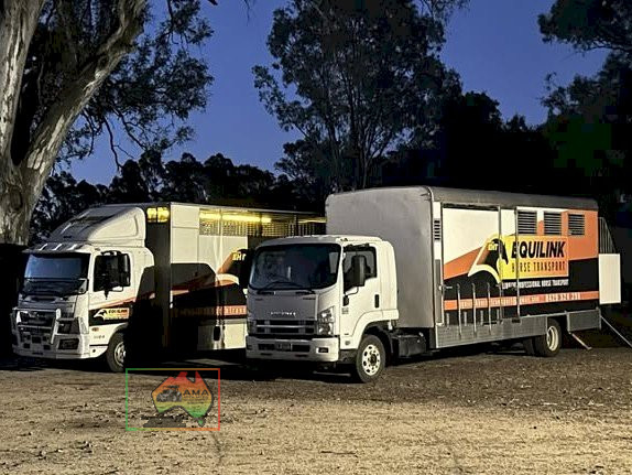 Equilink Horse Transport - photo 2