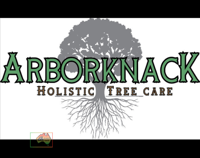 1 Days Professional Arborist Work