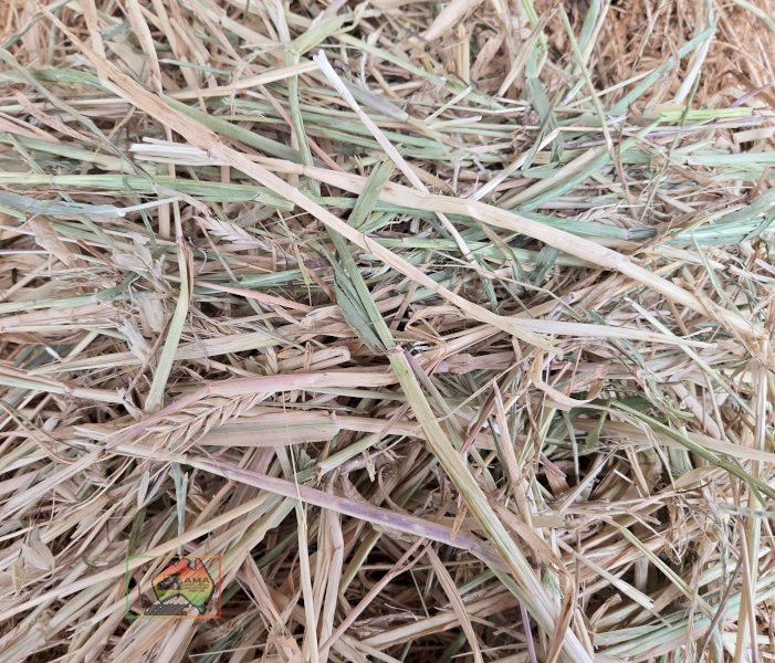 Rolls of Rye & Barley Hay ($/Roll) - photo 4