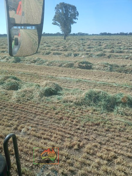 Good Quality Pure Wheaten Hay ($/roll)