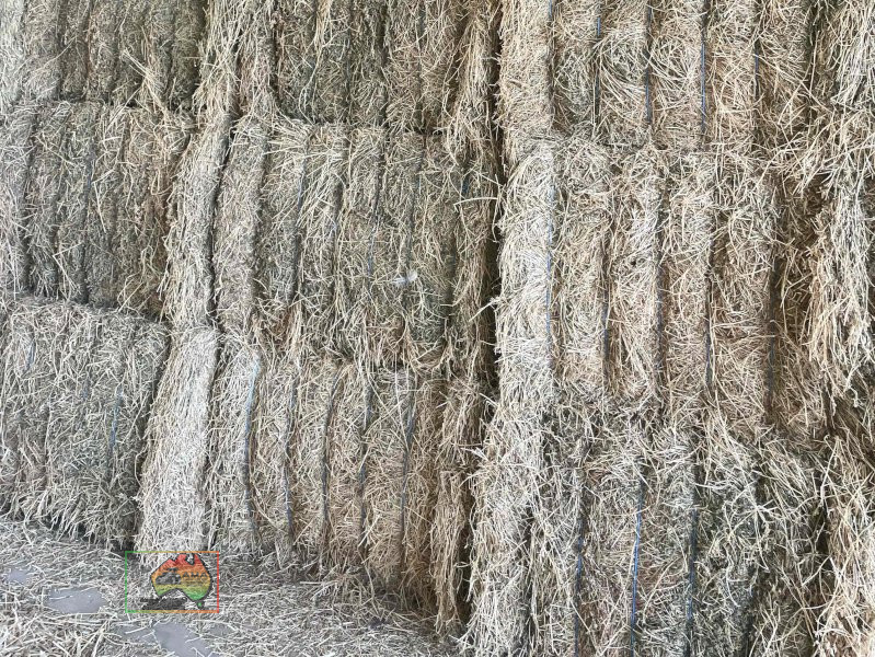 Quality 2nd Cut Irrigated Lucerne ($/bale) - photo 2
