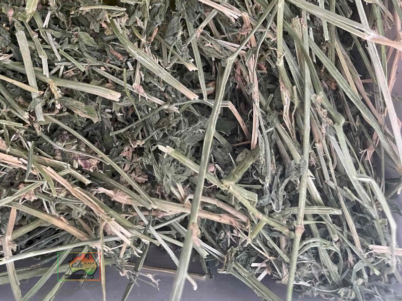 Quality 2nd Cut Irrigated Lucerne ($/bale) - photo 4