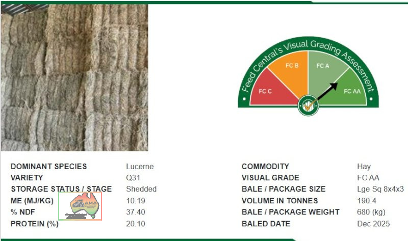 Quality 2nd Cut Irrigated Lucerne ($/bale) - photo 5