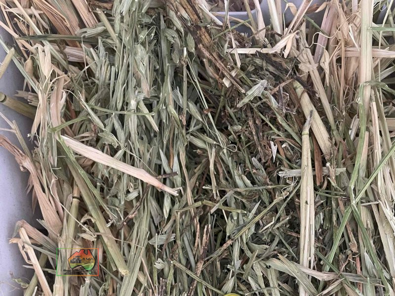 42 Bales of 8x4x3Oaten/Lucerne Hay ($/bale) - photo 3