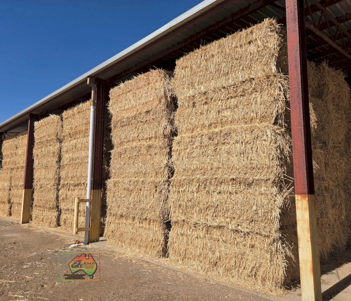 42 Bales of 8x4x3Oaten/Lucerne Hay ($/bale) - photo 1