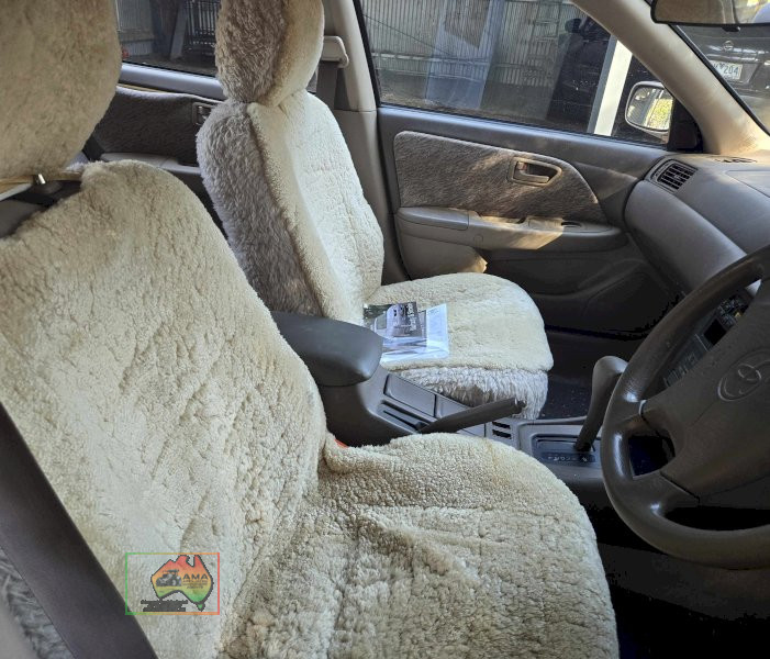 1998 Toyota Vienta VXi - photo 9