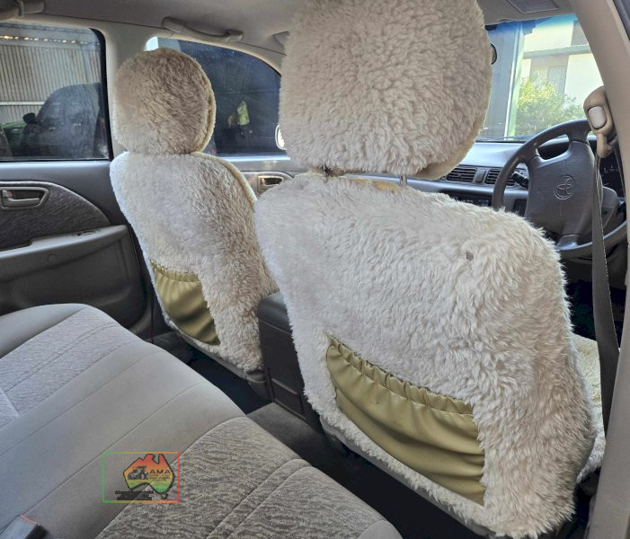 1998 Toyota Vienta VXi - photo 11