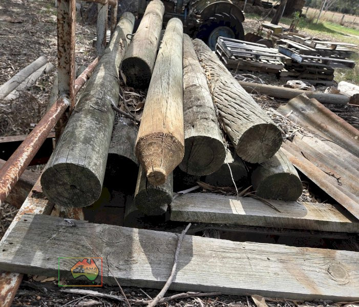 13x Pine Posts - photo 2