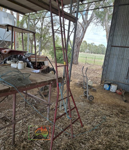 Fruit Picker's Ladder