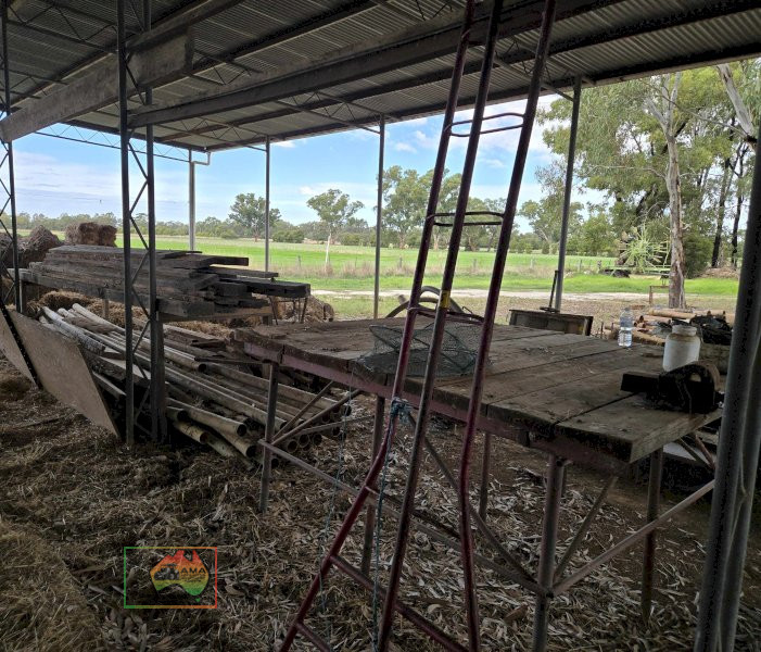 Fruit Picker's Ladder - photo 2