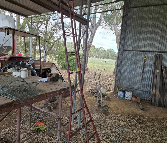 Fruit Picker's Ladder - photo 3