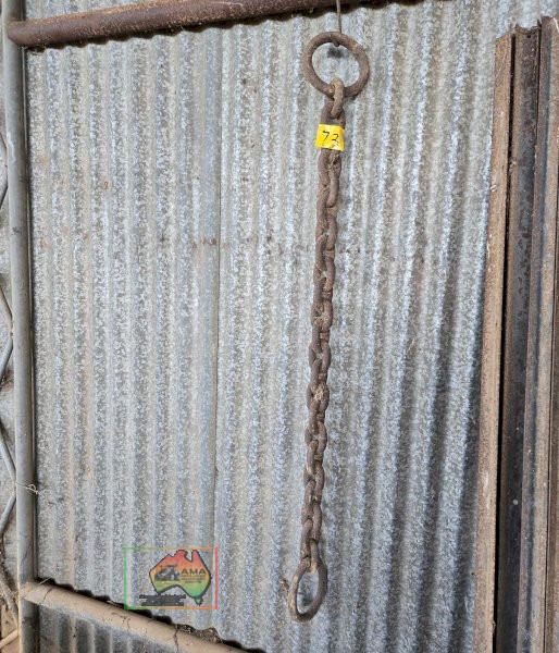 H/duty Chain - photo 2