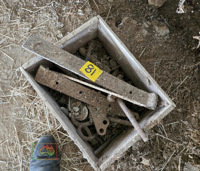 Shed Door Hinges