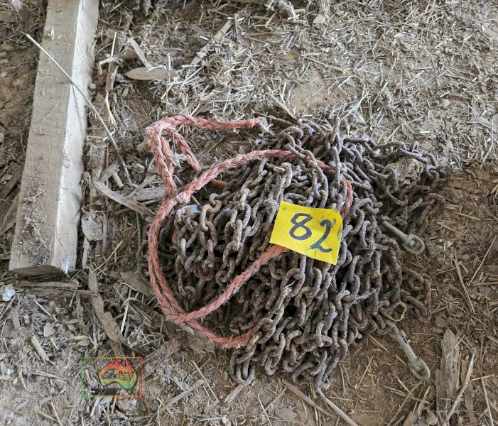 Dog Chain