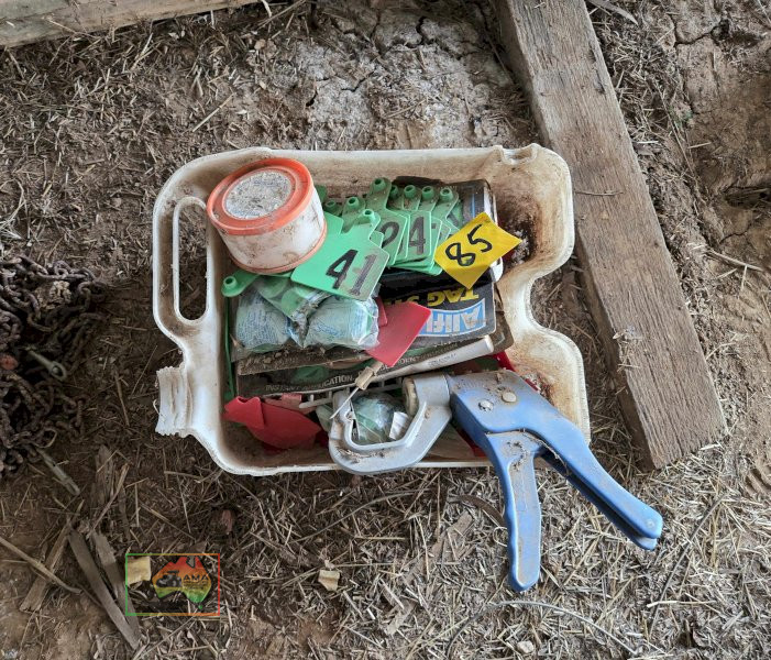 Cattle Tags & Applicator