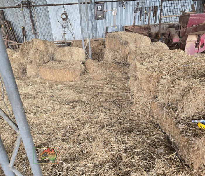 Assorted Bales of  Shedded Pasture Hay - photo 5