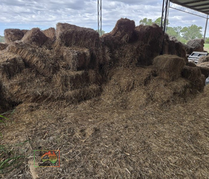 Assorted Bales of  Shedded Pasture Hay - photo 4