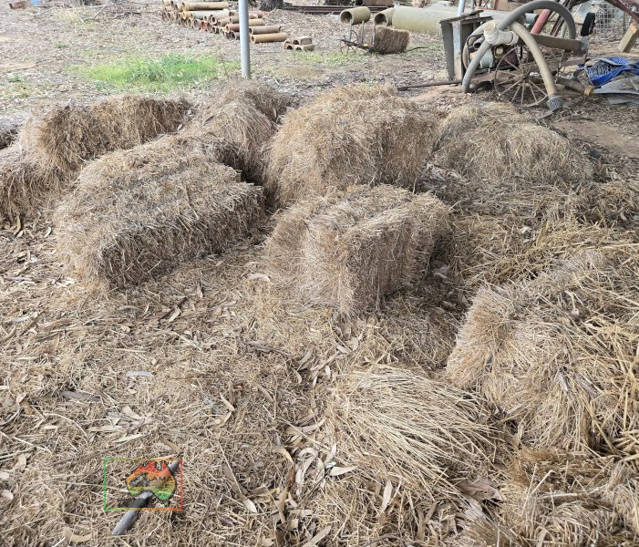 Assorted Bales of  Shedded Pasture Hay - photo 2