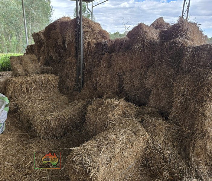 Assorted Bales of  Shedded Pasture Hay - photo 3