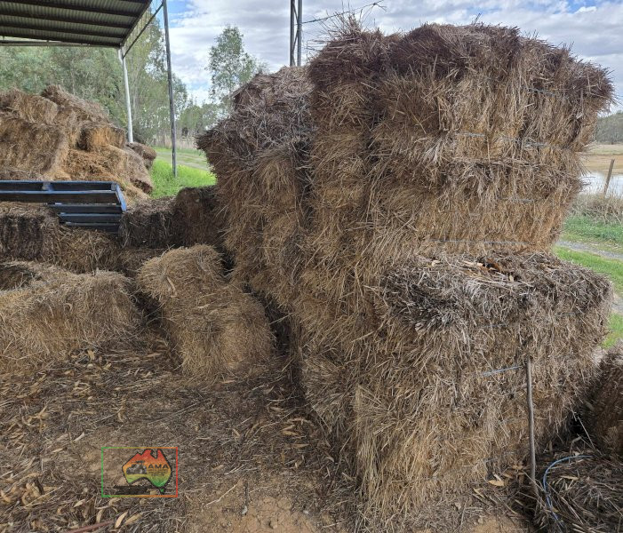 Assorted Bales of  Shedded Pasture Hay