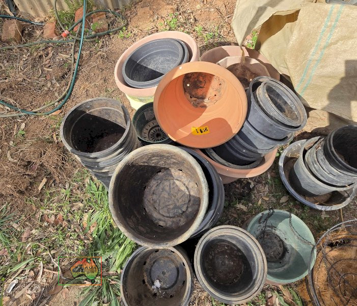 Assorted Large Plant Pots - photo 2