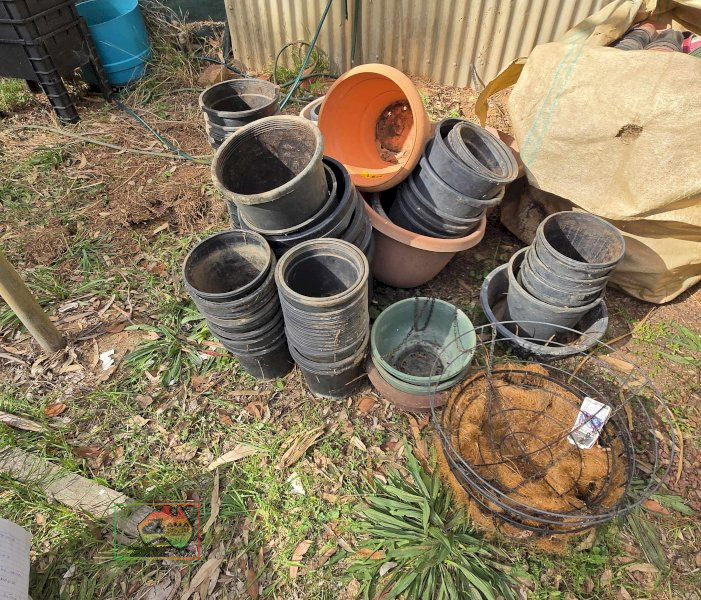 Assorted Large Plant Pots