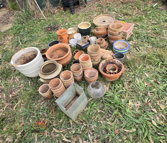 Ceramic & Clay Pots
